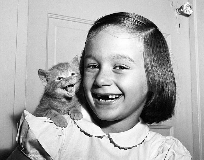 29 Vintage Photos That Show Animals Have Always Stolen The Spotlight, As Shared By This Page 29 Vintage Photos That Show Animals Have Always Stolen The Spotlight, As Shared By This Page