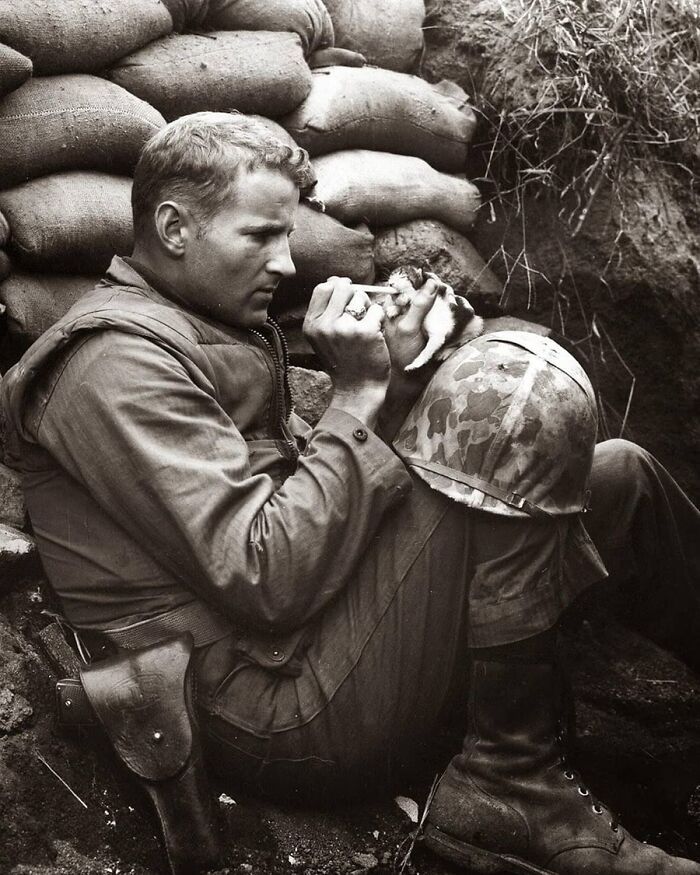 29 Vintage Photos That Show Animals Have Always Stolen The Spotlight, As Shared By This Page 29 Vintage Photos That Show Animals Have Always Stolen The Spotlight, As Shared By This Page