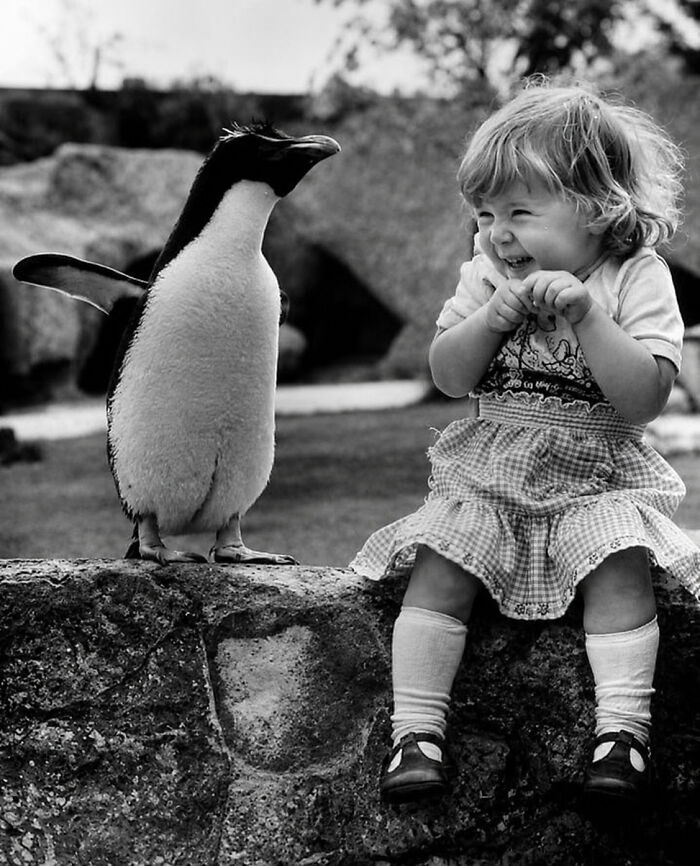 29 Vintage Photos That Show Animals Have Always Stolen The Spotlight, As Shared By This Page 29 Vintage Photos That Show Animals Have Always Stolen The Spotlight, As Shared By This Page