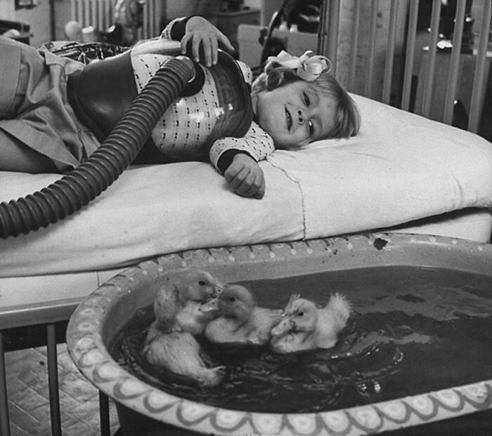 29 Vintage Photos That Show Animals Have Always Stolen The Spotlight, As Shared By This Page 29 Vintage Photos That Show Animals Have Always Stolen The Spotlight, As Shared By This Page