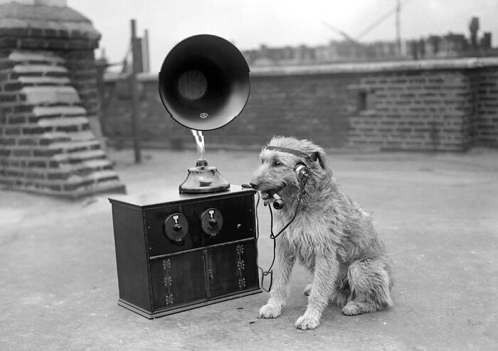 29 Vintage Photos That Show Animals Have Always Stolen The Spotlight, As Shared By This Page 29 Vintage Photos That Show Animals Have Always Stolen The Spotlight, As Shared By This Page