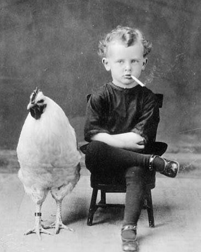 29 Vintage Photos That Show Animals Have Always Stolen The Spotlight, As Shared By This Page 29 Vintage Photos That Show Animals Have Always Stolen The Spotlight, As Shared By This Page