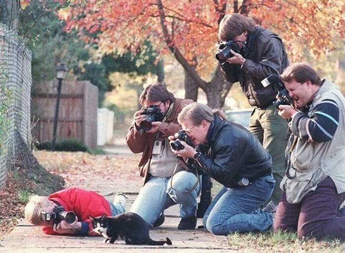 29 Vintage Photos That Show Animals Have Always Stolen The Spotlight, As Shared By This Page 29 Vintage Photos That Show Animals Have Always Stolen The Spotlight, As Shared By This Page