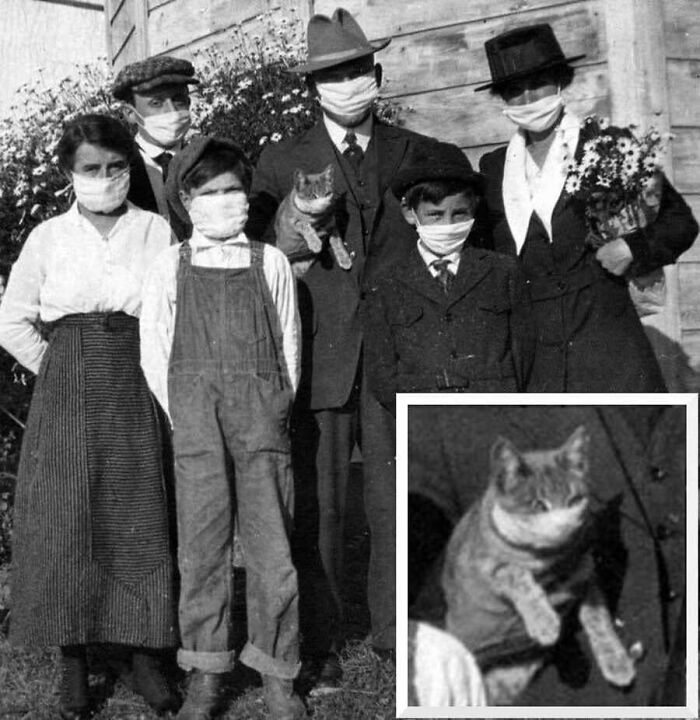 29 Vintage Photos That Show Animals Have Always Stolen The Spotlight, As Shared By This Page 29 Vintage Photos That Show Animals Have Always Stolen The Spotlight, As Shared By This Page