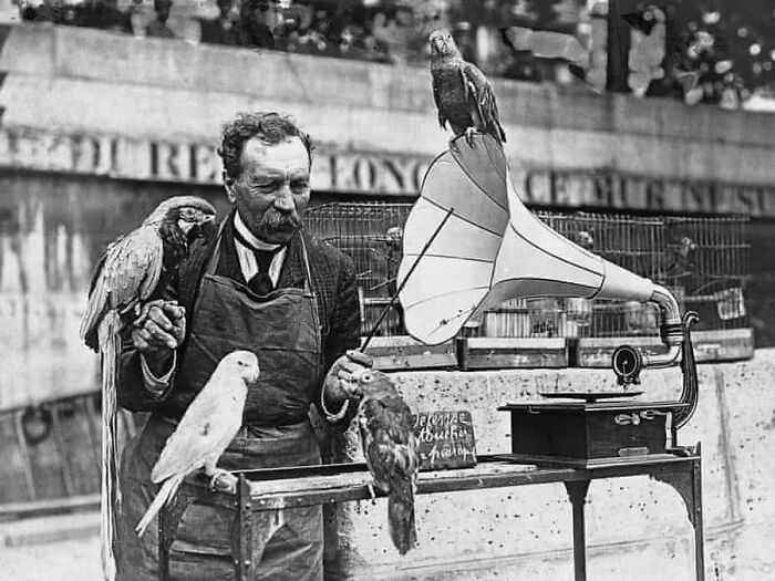 29 Vintage Photos That Show Animals Have Always Stolen The Spotlight, As Shared By This Page 29 Vintage Photos That Show Animals Have Always Stolen The Spotlight, As Shared By This Page