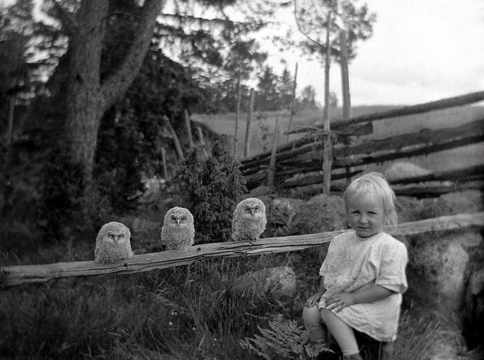 29 Vintage Photos That Show Animals Have Always Stolen The Spotlight, As Shared By This Page 29 Vintage Photos That Show Animals Have Always Stolen The Spotlight, As Shared By This Page