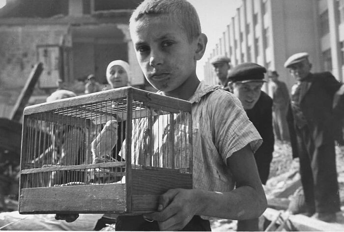 29 Vintage Photos That Show Animals Have Always Stolen The Spotlight, As Shared By This Page 29 Vintage Photos That Show Animals Have Always Stolen The Spotlight, As Shared By This Page