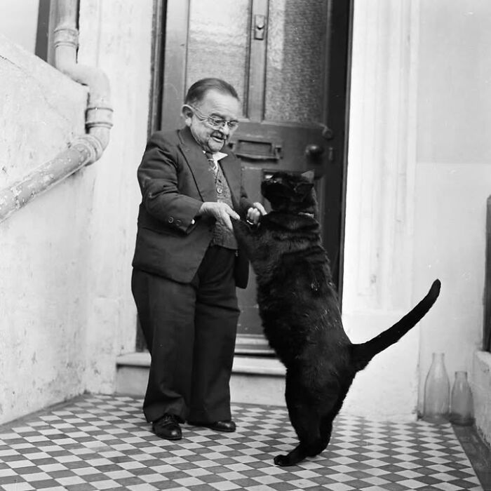 29 Vintage Photos That Show Animals Have Always Stolen The Spotlight, As Shared By This Page 29 Vintage Photos That Show Animals Have Always Stolen The Spotlight, As Shared By This Page