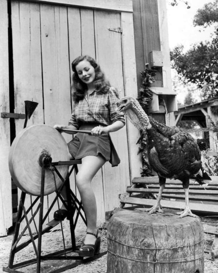 29 Vintage Photos That Show Animals Have Always Stolen The Spotlight, As Shared By This Page 29 Vintage Photos That Show Animals Have Always Stolen The Spotlight, As Shared By This Page