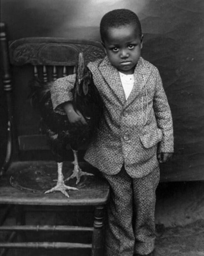 29 Vintage Photos That Show Animals Have Always Stolen The Spotlight, As Shared By This Page 29 Vintage Photos That Show Animals Have Always Stolen The Spotlight, As Shared By This Page