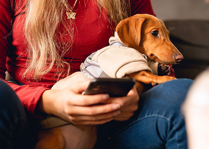 Neighbor Asks Couple To Watch Her Dog &ldquo;For A Few Days,&rdquo; Disappears When They Try To Return Him