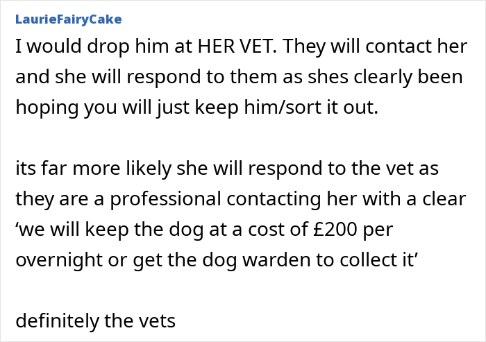 Neighbor Asks Couple To Watch Her Dog &ldquo;For A Few Days,&rdquo; Disappears When They Try To Return Him