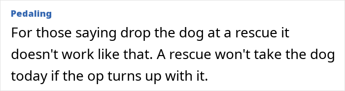 Neighbor Asks Couple To Watch Her Dog &ldquo;For A Few Days,&rdquo; Disappears When They Try To Return Him