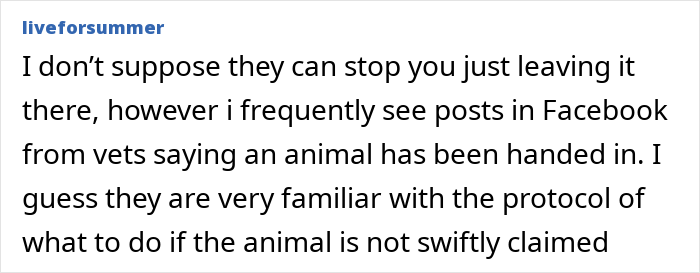Neighbor Asks Couple To Watch Her Dog &ldquo;For A Few Days,&rdquo; Disappears When They Try To Return Him