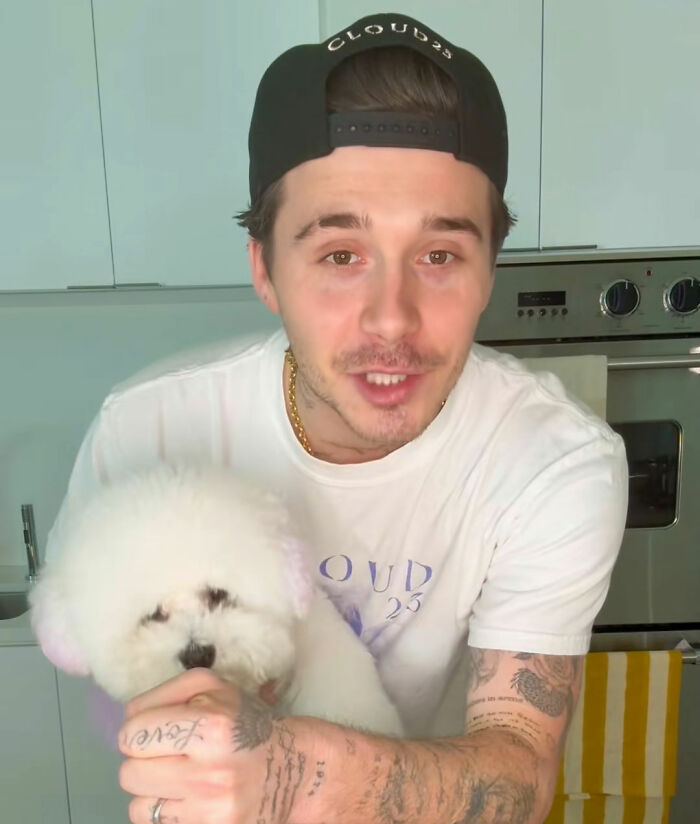 Brooklyn Beckham Mercilessly Roasted Over Latest Cooking Video As Netizens Point Out Background Details Brooklyn Beckham Mercilessly Roasted Over Latest Cooking Video As Netizens Point Out Background Details