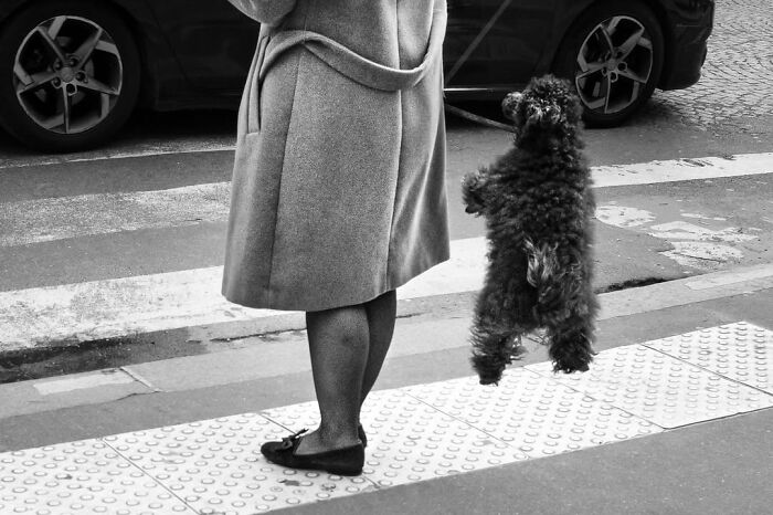 39 Perfectly Timed Street Photos By Gaspard Claude That Reveal Unseen Side Of Paris