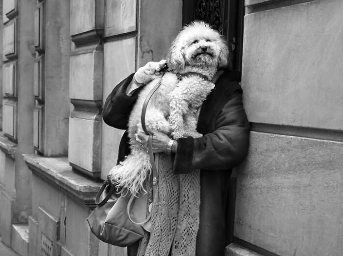 39 Perfectly Timed Street Photos By Gaspard Claude That Reveal Unseen Side Of Paris