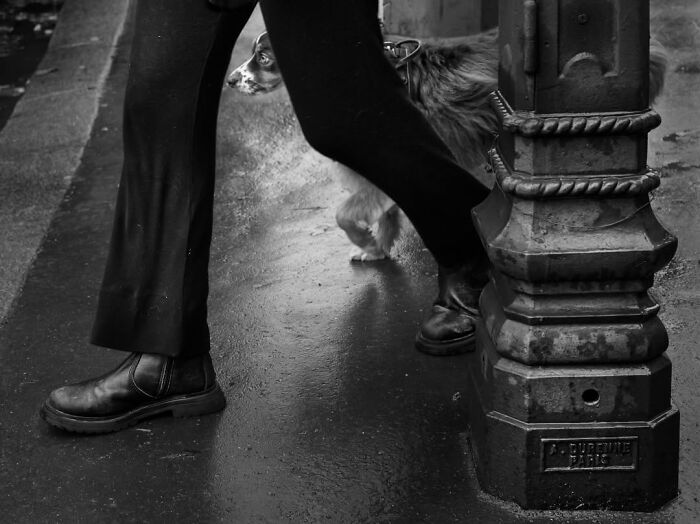 39 Perfectly Timed Street Photos By Gaspard Claude That Reveal Unseen Side Of Paris