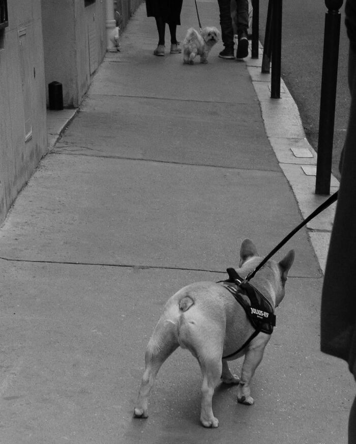 39 Perfectly Timed Street Photos By Gaspard Claude That Reveal Unseen Side Of Paris