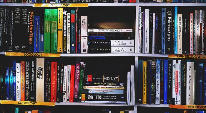 “Are You A True Literary Expert?”: Identify 24 Books Before They Got Famous Titles “Are You A True Literary Expert?”: Identify 24 Books Before They Got Famous Titles