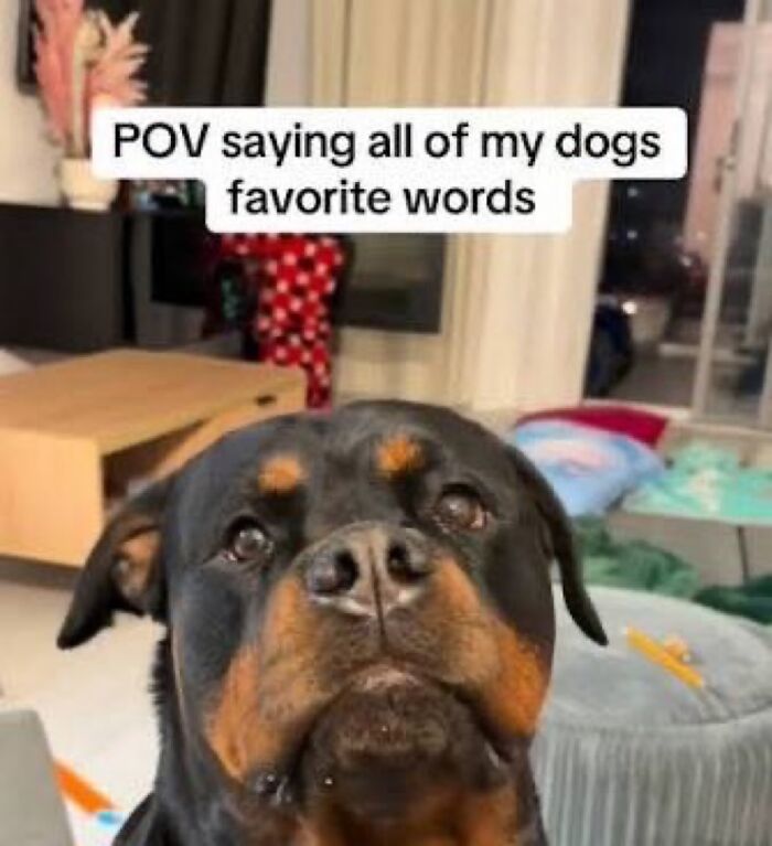 37 Funny Memes That Might Not Fix Your Life, But At Least They’ll Distract You From It 37 Funny Memes That Might Not Fix Your Life, But At Least They’ll Distract You From It