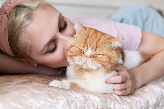 “I Don’t Actually Intend To Give Any Compensation”: Homeowner Says Free Lodging Is Fair For Cat Care “I Don’t Actually Intend To Give Any Compensation”: Homeowner Says Free Lodging Is Fair For Cat Care
