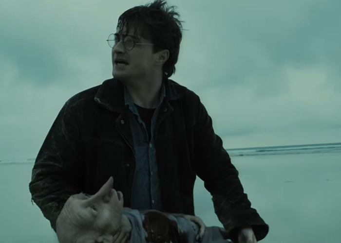 Harry Potter Fans Force Authorities To Reroute $500M Undersea Cable, The Reason Has People Shaking Their Heads