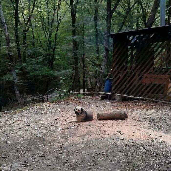 “Hmmm”: 89 Pics That People Cannot Explain, Nor Can They Forget “Hmmm”: 89 Pics That People Cannot Explain, Nor Can They Forget