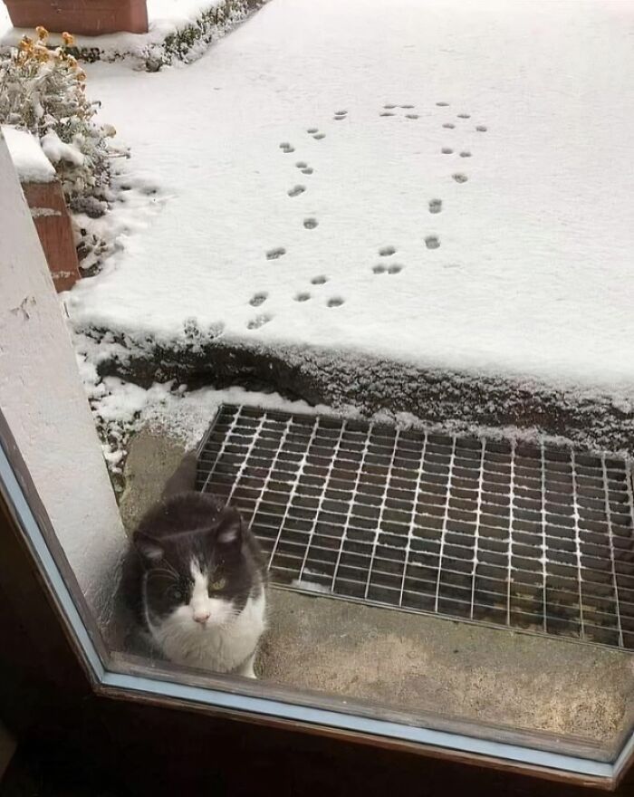 “Hmmm”: 89 Pics That People Cannot Explain, Nor Can They Forget “Hmmm”: 89 Pics That People Cannot Explain, Nor Can They Forget