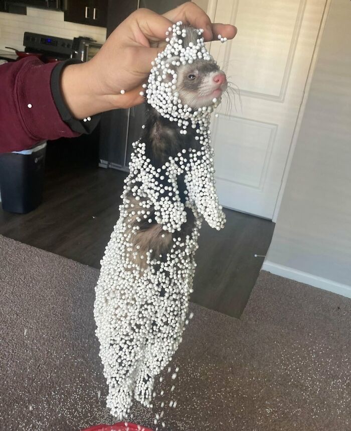 “Hmmm”: 89 Pics That People Cannot Explain, Nor Can They Forget “Hmmm”: 89 Pics That People Cannot Explain, Nor Can They Forget