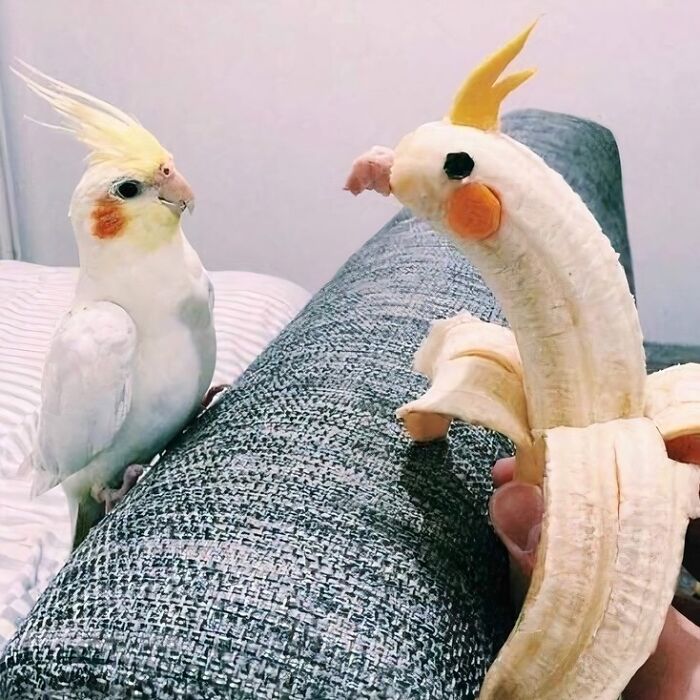 “Hmmm”: 89 Pics That People Cannot Explain, Nor Can They Forget “Hmmm”: 89 Pics That People Cannot Explain, Nor Can They Forget