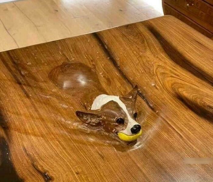 “Hmmm”: 89 Pics That People Cannot Explain, Nor Can They Forget “Hmmm”: 89 Pics That People Cannot Explain, Nor Can They Forget