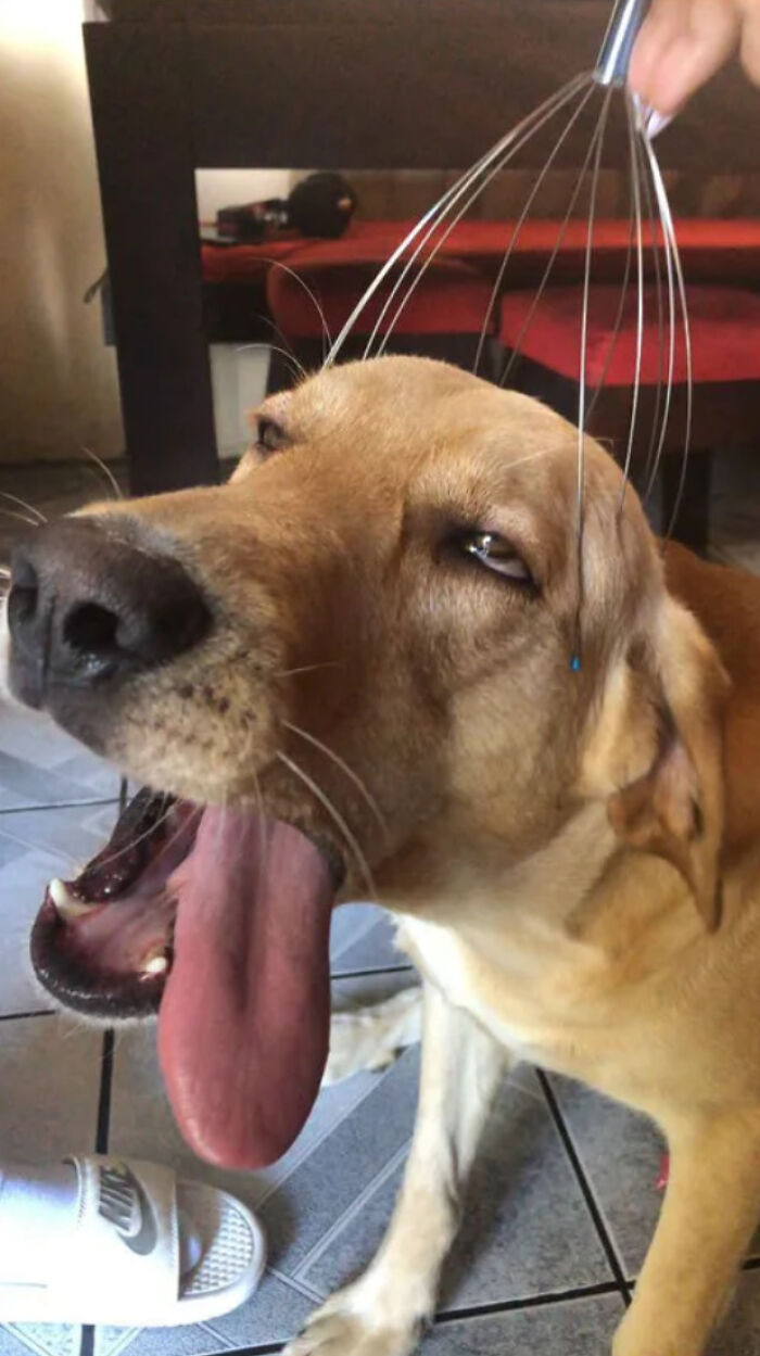 “Hmmm”: 89 Pics That People Cannot Explain, Nor Can They Forget “Hmmm”: 89 Pics That People Cannot Explain, Nor Can They Forget