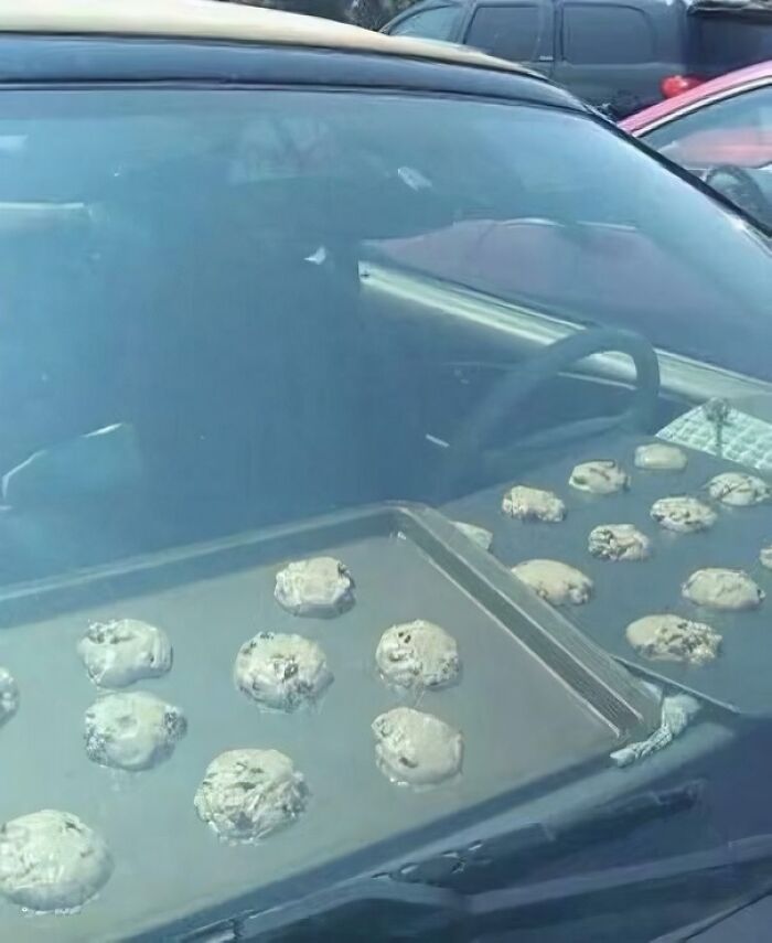 “Hmmm”: 89 Pics That People Cannot Explain, Nor Can They Forget “Hmmm”: 89 Pics That People Cannot Explain, Nor Can They Forget