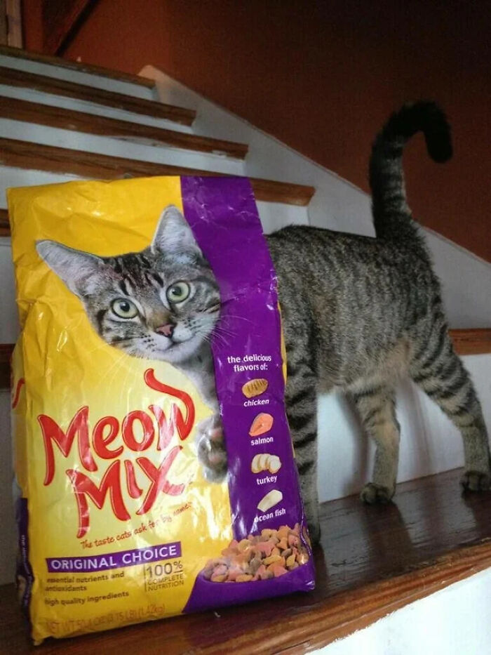 “Hmmm”: 89 Pics That People Cannot Explain, Nor Can They Forget “Hmmm”: 89 Pics That People Cannot Explain, Nor Can They Forget