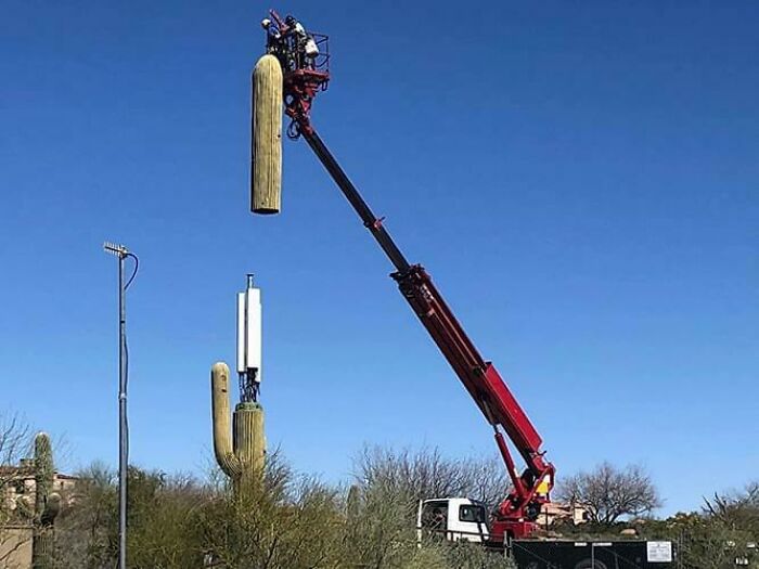 “Hmmm”: 89 Pics That People Cannot Explain, Nor Can They Forget “Hmmm”: 89 Pics That People Cannot Explain, Nor Can They Forget