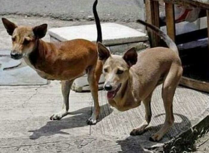 “Hmmm”: 89 Pics That People Cannot Explain, Nor Can They Forget “Hmmm”: 89 Pics That People Cannot Explain, Nor Can They Forget
