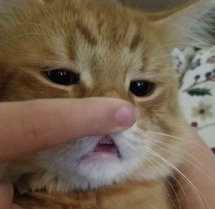 “Hmmm”: 89 Pics That People Cannot Explain, Nor Can They Forget “Hmmm”: 89 Pics That People Cannot Explain, Nor Can They Forget