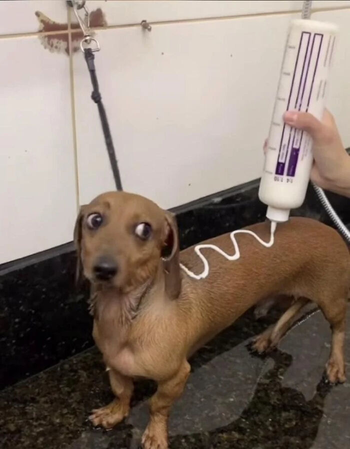 “Hmmm”: 89 Pics That People Cannot Explain, Nor Can They Forget “Hmmm”: 89 Pics That People Cannot Explain, Nor Can They Forget