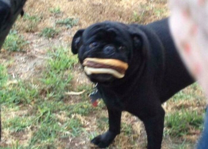 “Hmmm”: 89 Pics That People Cannot Explain, Nor Can They Forget “Hmmm”: 89 Pics That People Cannot Explain, Nor Can They Forget