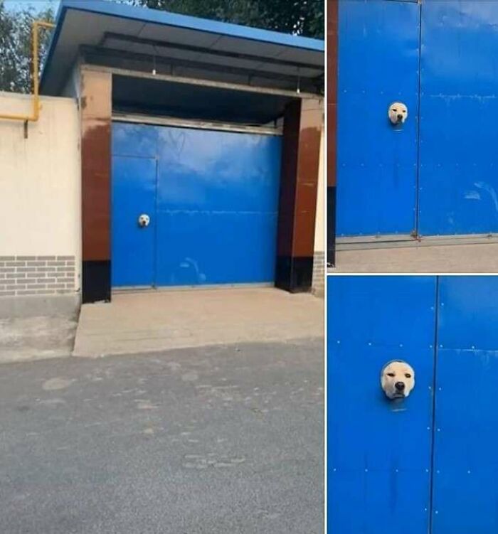 “Hmmm”: 89 Pics That People Cannot Explain, Nor Can They Forget “Hmmm”: 89 Pics That People Cannot Explain, Nor Can They Forget