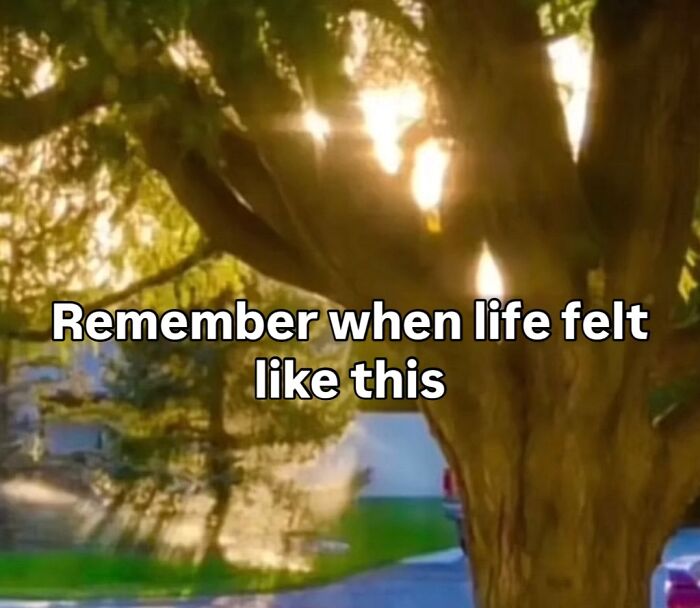 82 Pure Nostalgia Gems To Instantly Rewind Your VHS Tape Straight To The Good Old Saturday Mornings 82 Pure Nostalgia Gems To Instantly Rewind Your VHS Tape Straight To The Good Old Saturday Mornings