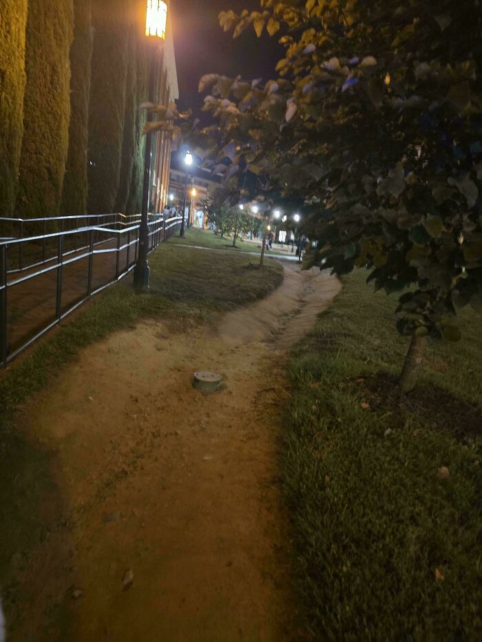 97 Times Urban Planners Failed To Predict What People Want, And It Resulted In &lsquo;Desire Paths&rsquo; (New Pics)