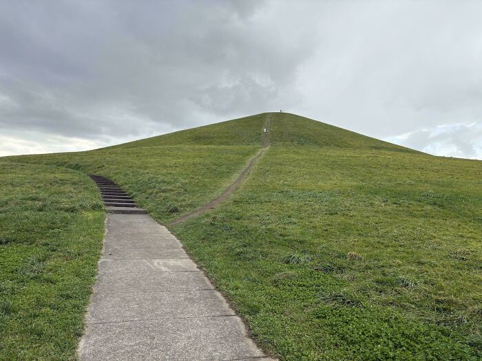 97 Times Urban Planners Failed To Predict What People Want, And It Resulted In &lsquo;Desire Paths&rsquo; (New Pics)