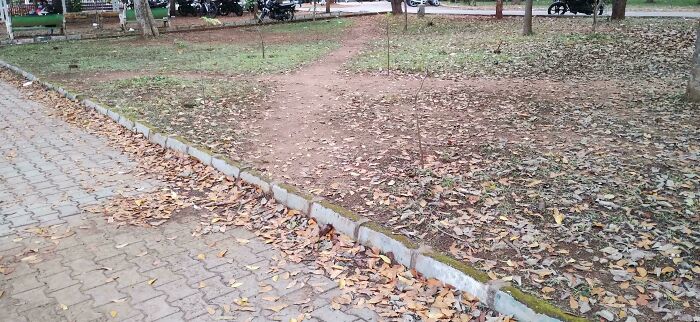97 Times Urban Planners Failed To Predict What People Want, And It Resulted In &lsquo;Desire Paths&rsquo; (New Pics)