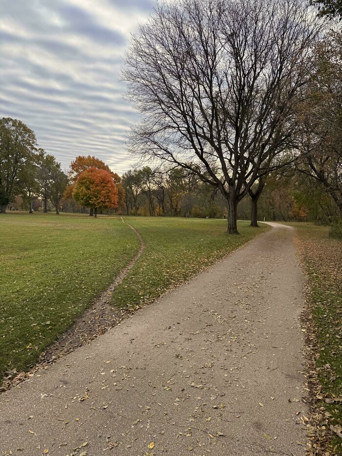 97 Times Urban Planners Failed To Predict What People Want, And It Resulted In &lsquo;Desire Paths&rsquo; (New Pics)