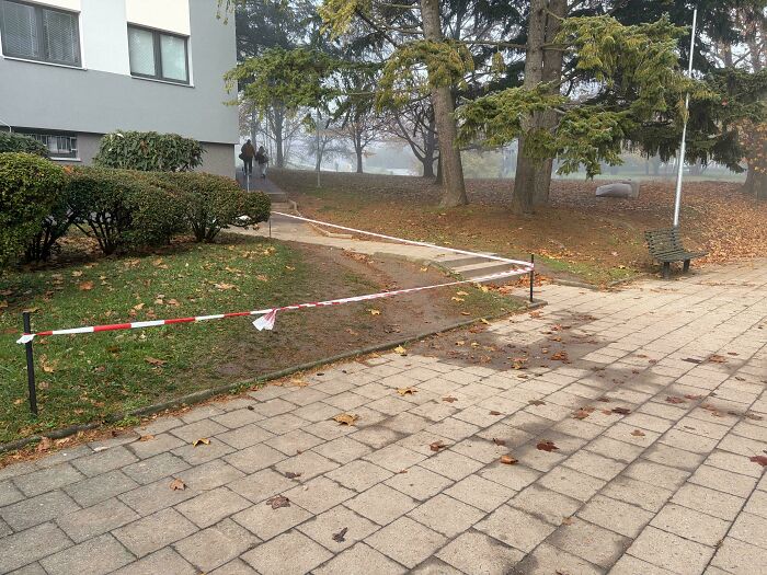 97 Times Urban Planners Failed To Predict What People Want, And It Resulted In &lsquo;Desire Paths&rsquo; (New Pics)