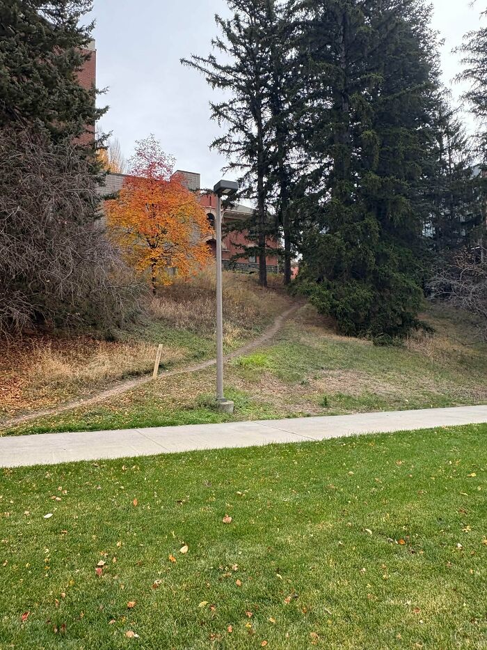 97 Times Urban Planners Failed To Predict What People Want, And It Resulted In &lsquo;Desire Paths&rsquo; (New Pics)