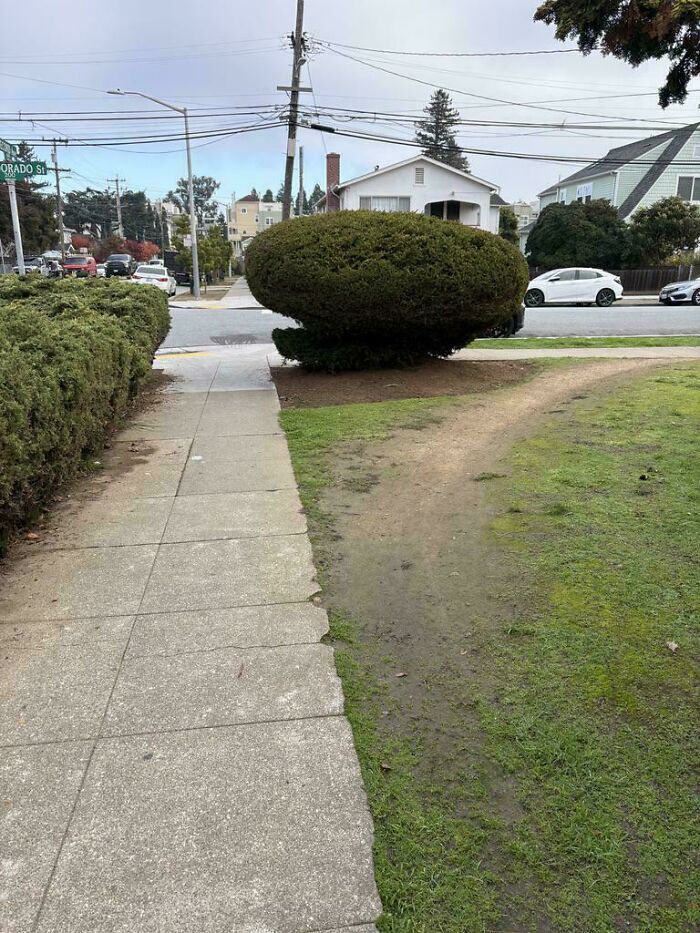 97 Times Urban Planners Failed To Predict What People Want, And It Resulted In &lsquo;Desire Paths&rsquo; (New Pics)
