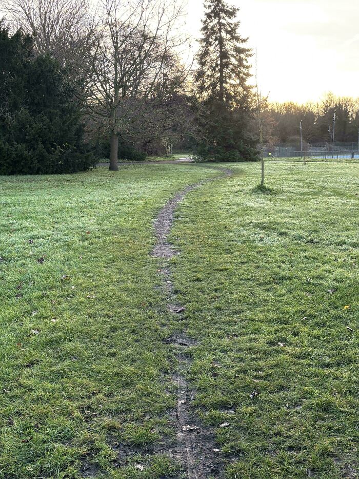 97 Times Urban Planners Failed To Predict What People Want, And It Resulted In &lsquo;Desire Paths&rsquo; (New Pics)